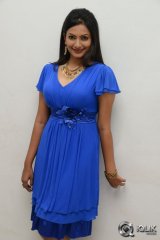 Swetaa Varma at Gang Of Gabbar Singh Movie Audio Launch